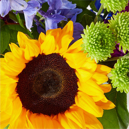 Catching Rays Bouquet – HARRY'S FLOWERS, Victoria BC