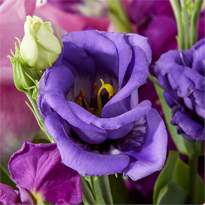 Twilight Glow Bouquet – HARRY'S FLOWERS, Victoria BC