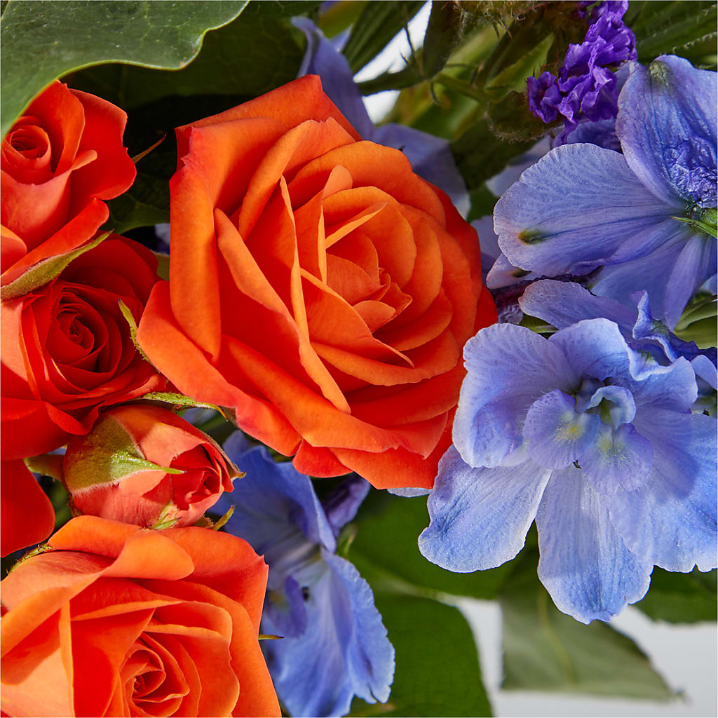 Radiant Citrus Bouquet – HARRY'S FLOWERS, Victoria BC