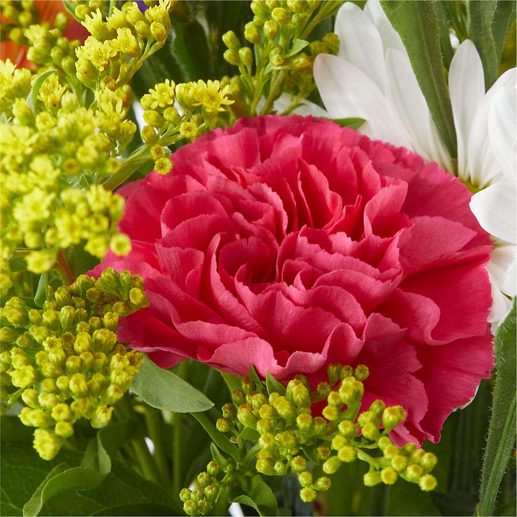 Oopsie Daisy Bouquet – HARRY'S FLOWERS, Victoria BC