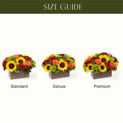 Happy Harvest Garden – HARRY'S FLOWERS, Victoria BC