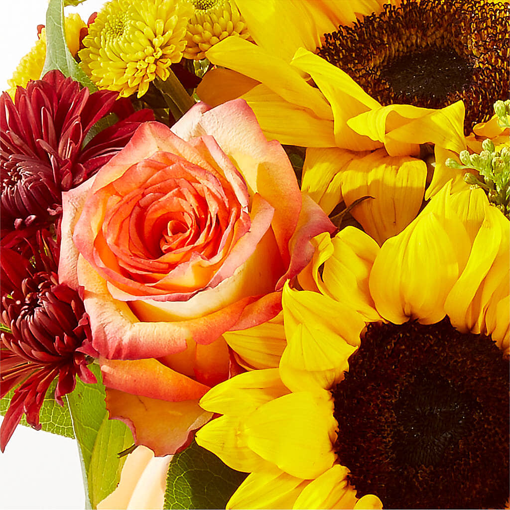 Golden Gourd Pumpkin Bouquet – HARRY'S FLOWERS, Victoria BC