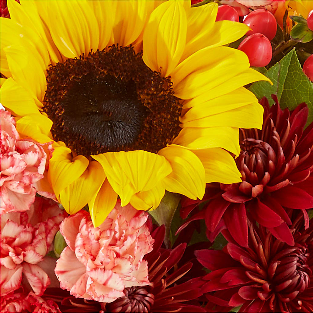 Fresh Cider Bouquet – HARRY'S FLOWERS, Victoria BC