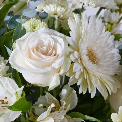 New Beginnings – A Florist Original – HARRY'S FLOWERS, Victoria BC