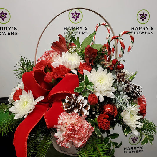 Candy Cane Lane Arrangement