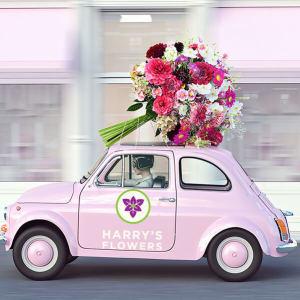 HF Custom Arrangements – HARRY'S FLOWERS, Victoria BC