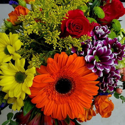 Fiesta Bash Arrangement – HARRY'S FLOWERS, Victoria BC