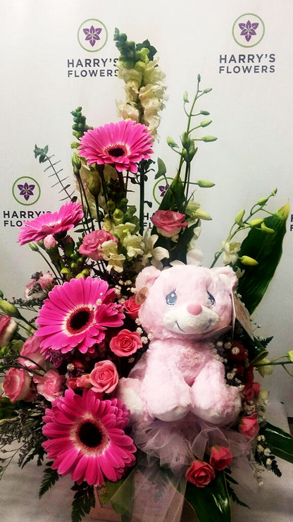 Hello Baby Girl – HARRY'S FLOWERS, Victoria BC