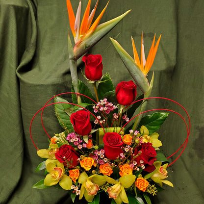 Hola Mi Amor – HARRY'S FLOWERS, Victoria BC