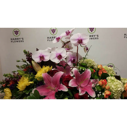 Orchid Garden Party Table-centre – HARRY'S FLOWERS, Victoria BC