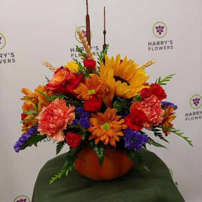 Pumpkin Harvest Arrangement – HARRY'S FLOWERS, Victoria BC