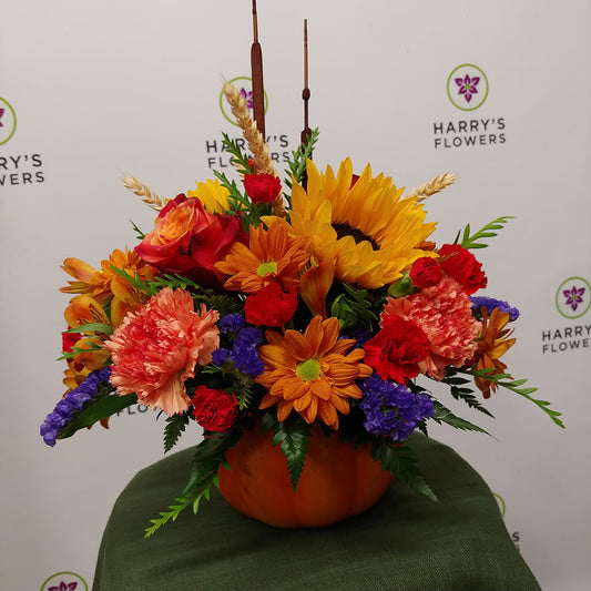 Pumpkin Harvest Arrangement