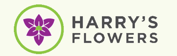 Harry's Flowers