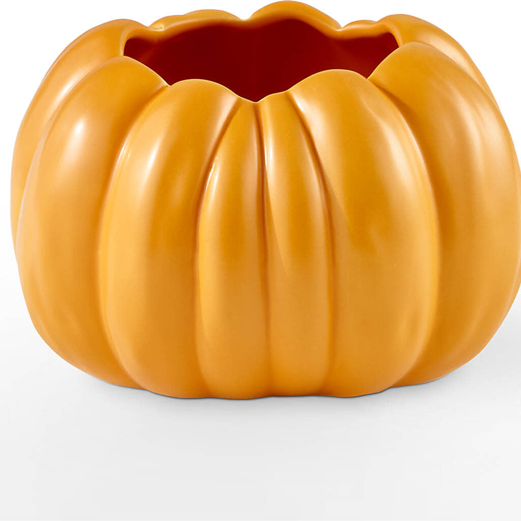 Golden Gourd Pumpkin Bouquet – HARRY'S FLOWERS, Victoria BC