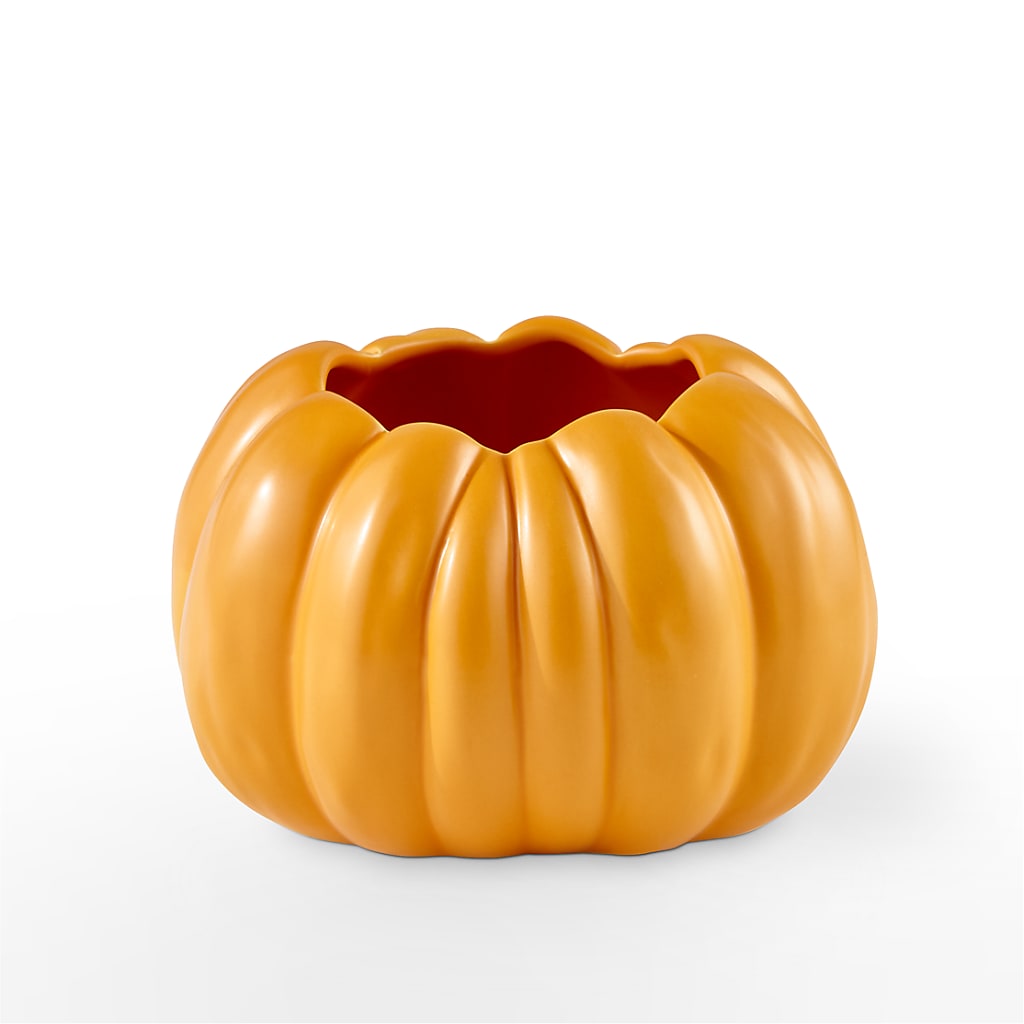Pick of the Patch Pumpkin Bouquet – HARRY'S FLOWERS, Victoria BC