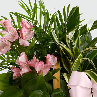 Living Spirit Dishgarden – HARRY'S FLOWERS, Victoria BC