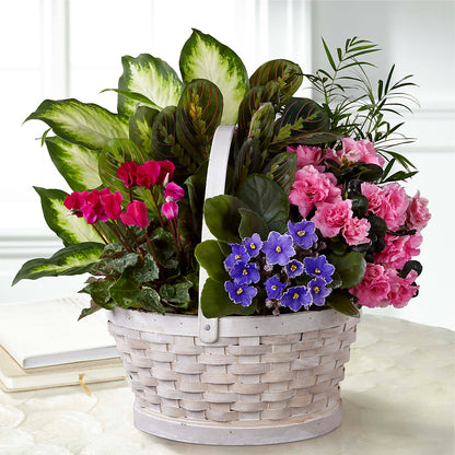 Peaceful Garden Planter – HARRY'S FLOWERS, Victoria BC