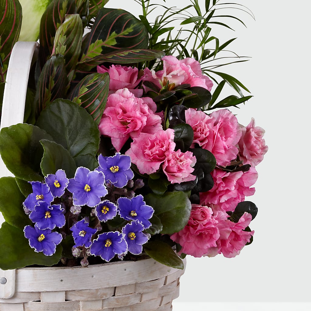 Peaceful Garden Planter – HARRY'S FLOWERS, Victoria BC