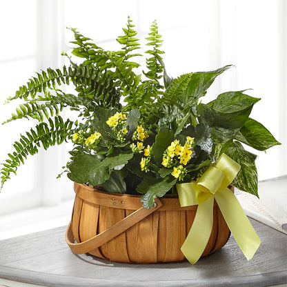 Always Dear Dishgarden – HARRY'S FLOWERS, Victoria BC