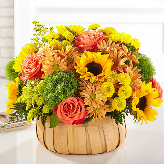 Harvest Sunflower Basket – HARRY'S FLOWERS, Victoria BC
