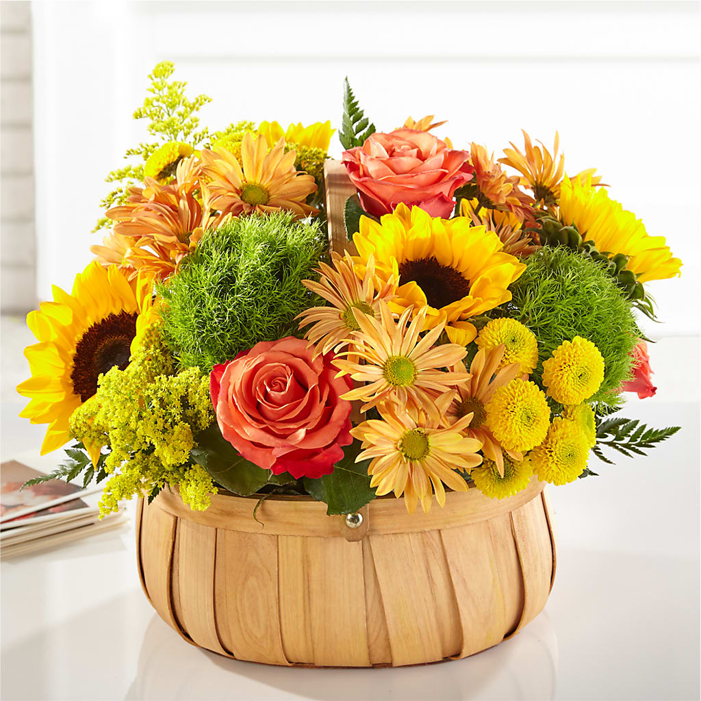 Harvest Sunflower Basket – HARRY'S FLOWERS, Victoria BC