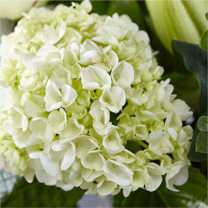 Classic Ivory – A Florist Original – HARRY'S FLOWERS, Victoria BC