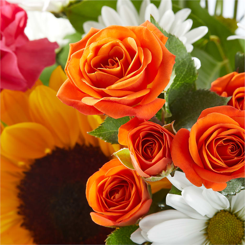 Sun-drenched Blooms Bouquet – HARRY'S FLOWERS, Victoria BC