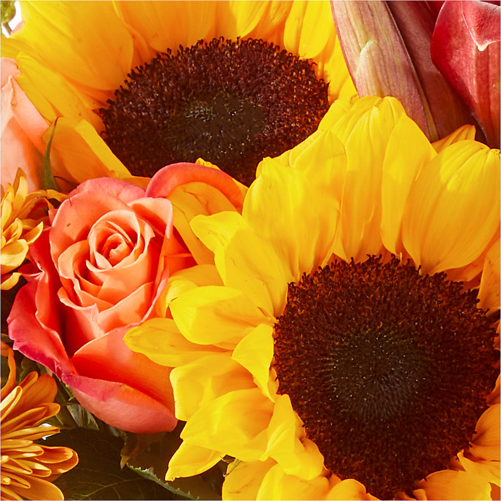 Acorn Lane Bouquet – HARRY'S FLOWERS, Victoria BC