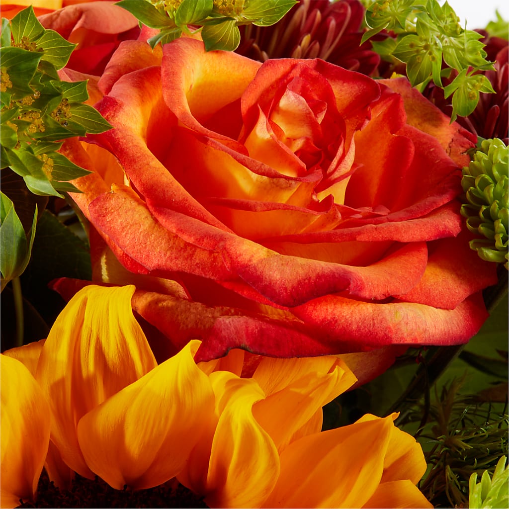 Harvest Festival Bouquet – HARRY'S FLOWERS, Victoria BC