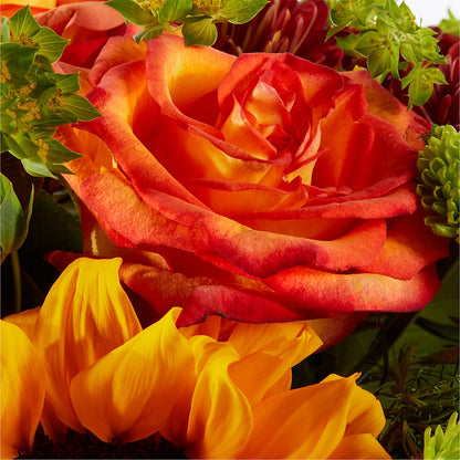 Harvest Festival Bouquet – HARRY'S FLOWERS, Victoria BC