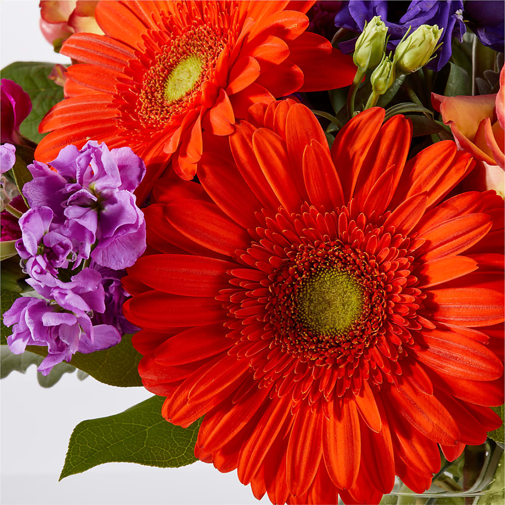 Sangria Bouquet – HARRY'S FLOWERS, Victoria BC