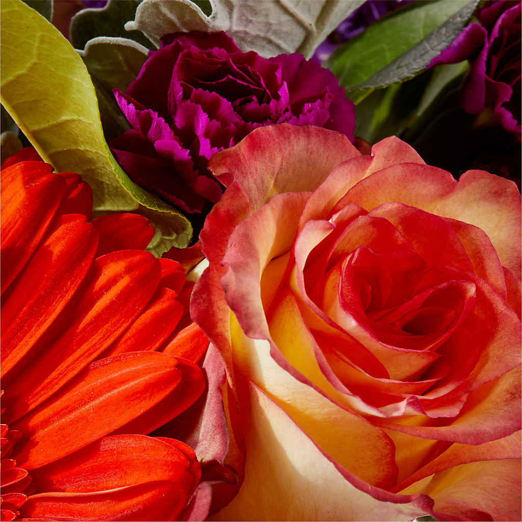 Sangria Bouquet – HARRY'S FLOWERS, Victoria BC