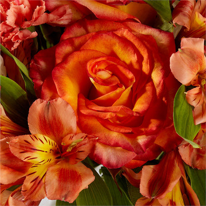 Apricot Glow Bouquet – HARRY'S FLOWERS, Victoria BC
