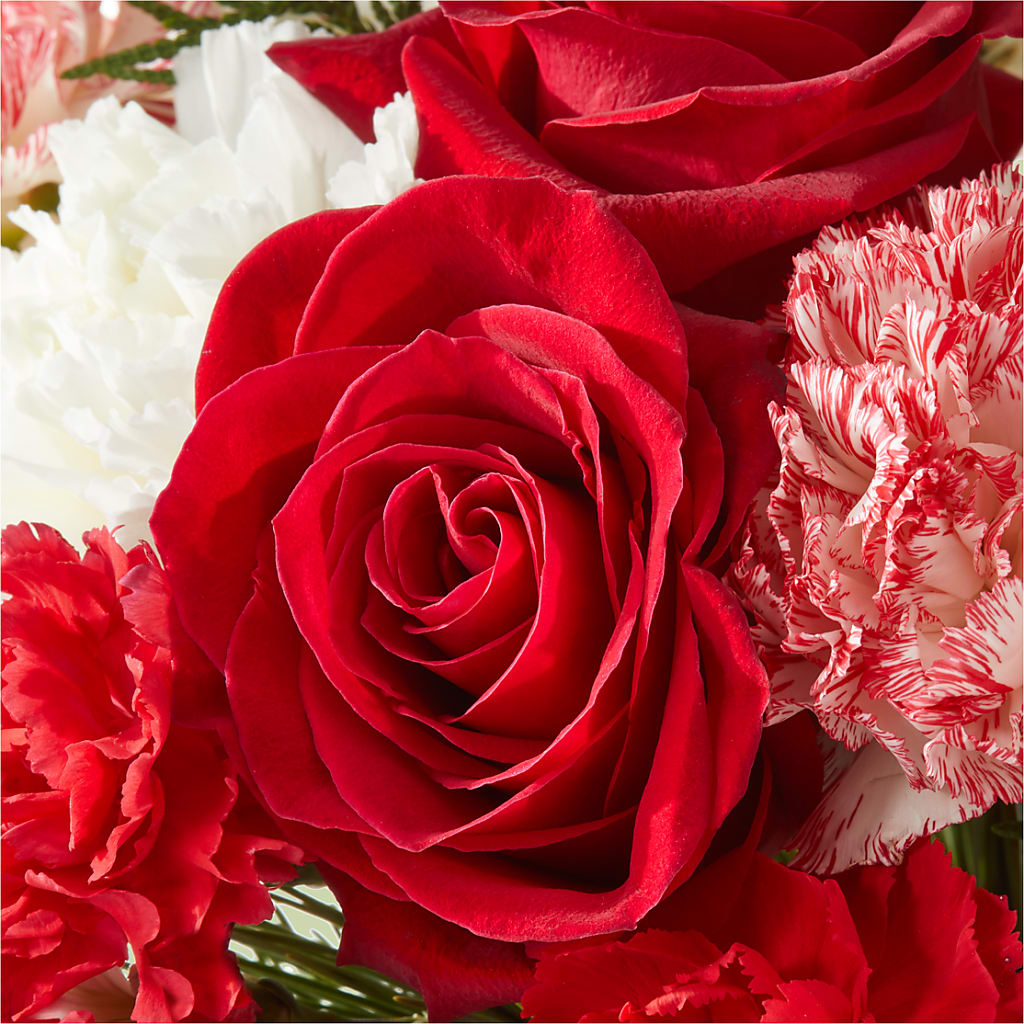 Candy Cane Lane Bouquet – HARRY'S FLOWERS, Victoria BC