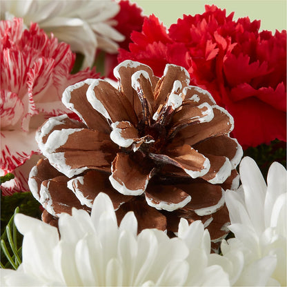 Candy Cane Lane Bouquet – HARRY'S FLOWERS, Victoria BC