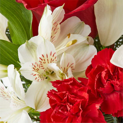 Holiday Season Bouquet – HARRY'S FLOWERS, Victoria BC