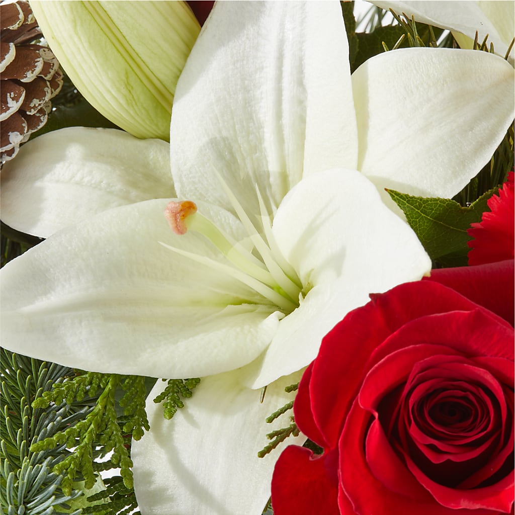 Oh So Jolly Bouquet – HARRY'S FLOWERS, Victoria BC