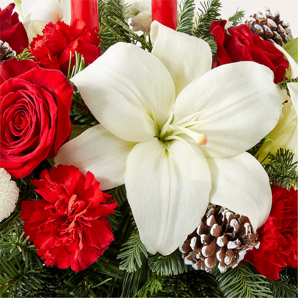 Seasonal Festivities Centerpiece – HARRY'S FLOWERS, Victoria BC