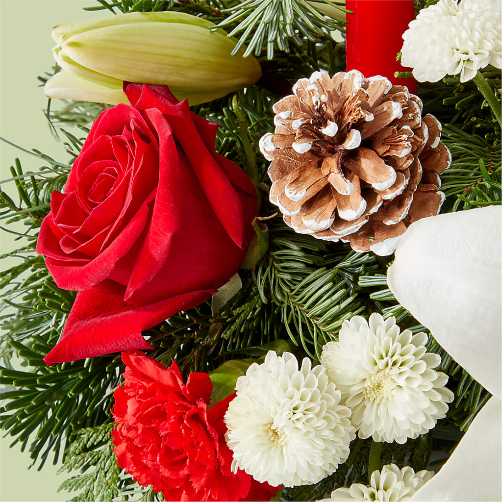 Seasonal Festivities Centerpiece – HARRY'S FLOWERS, Victoria BC