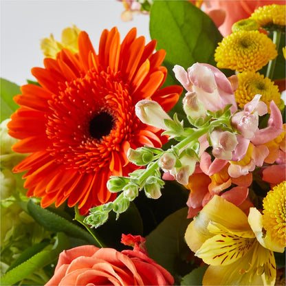 Autumn Sunshine Bouquet – HARRY'S FLOWERS, Victoria BC