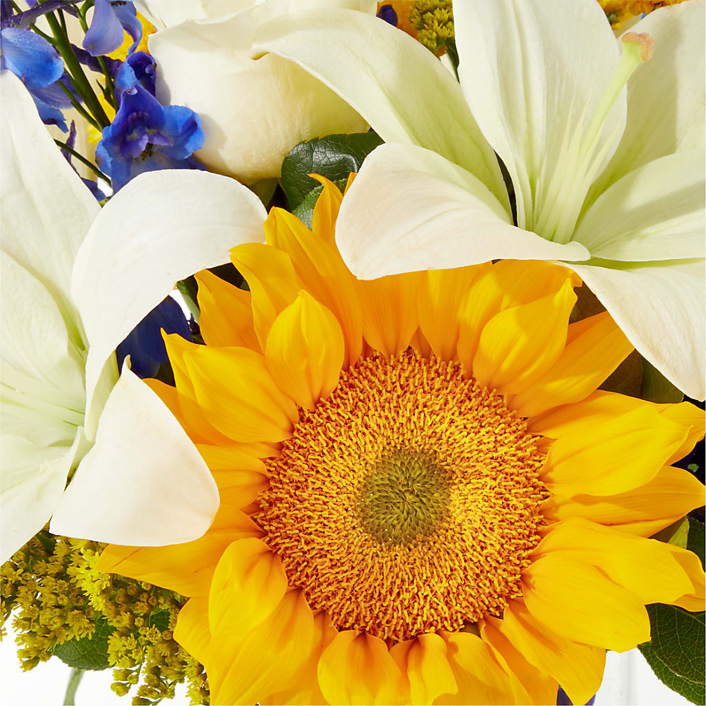 Stargazing Bouquet – HARRY'S FLOWERS, Victoria BC