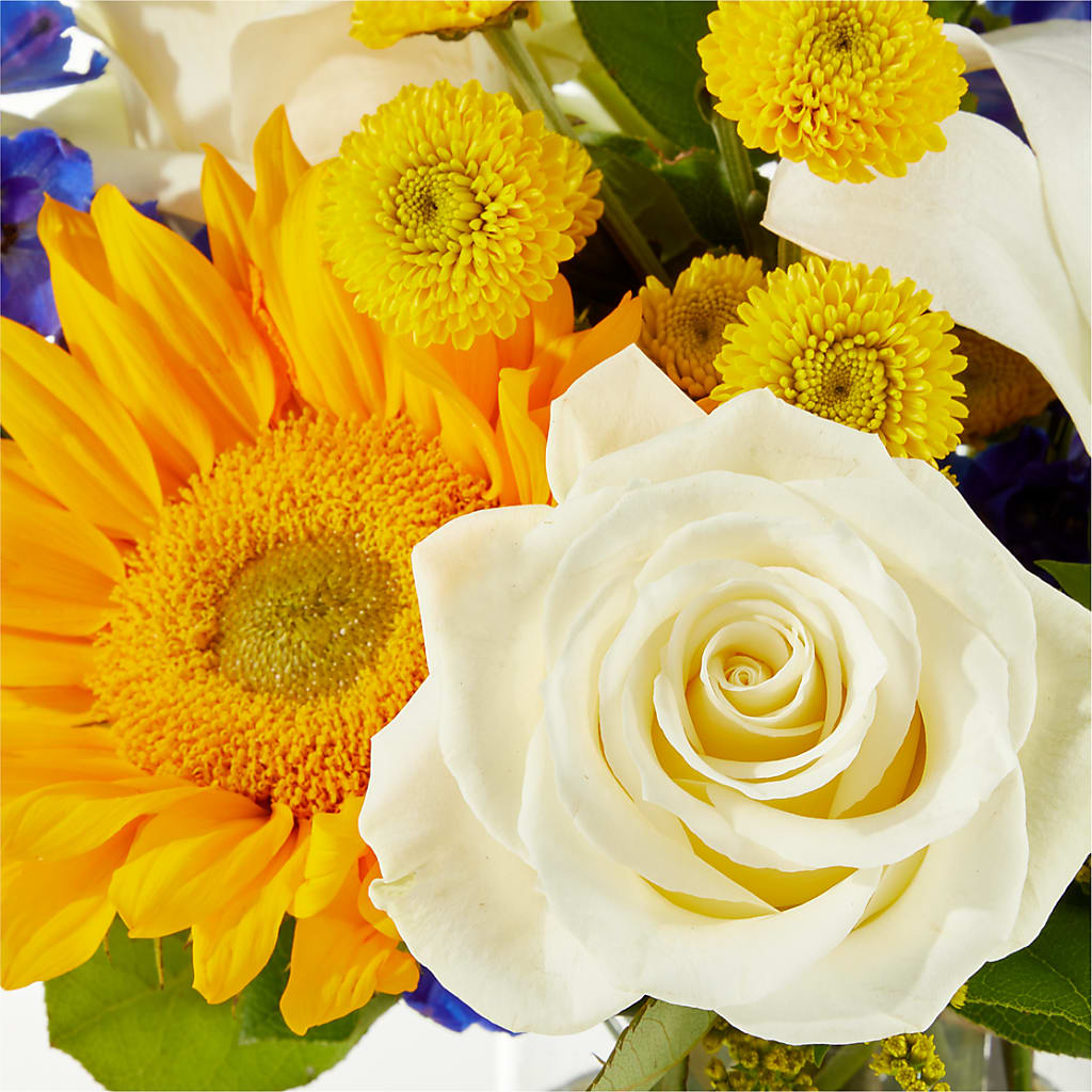 Stargazing Bouquet – HARRY'S FLOWERS, Victoria BC