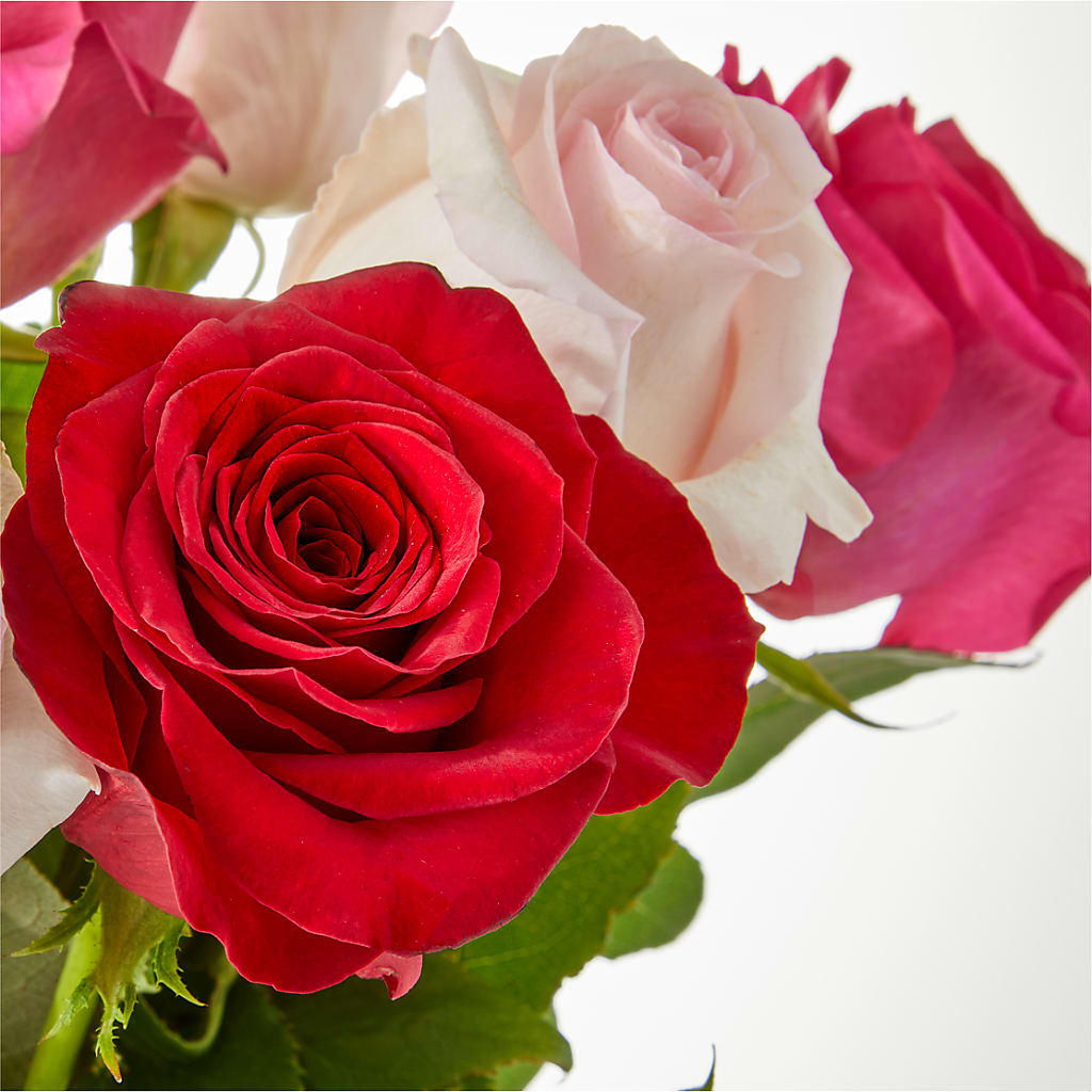 Charming Rose Bouquet – HARRY'S FLOWERS, Victoria BC