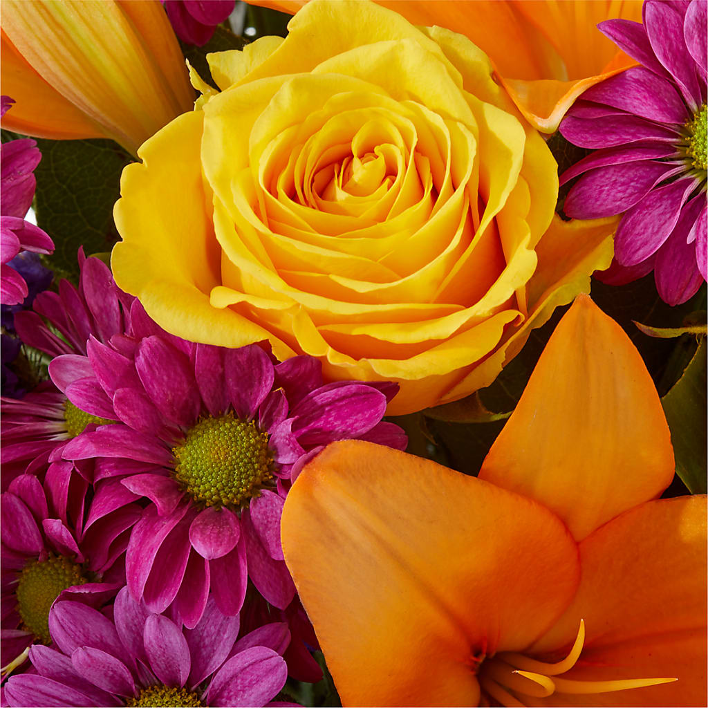 Colorful Visions Bouquet – HARRY'S FLOWERS, Victoria BC