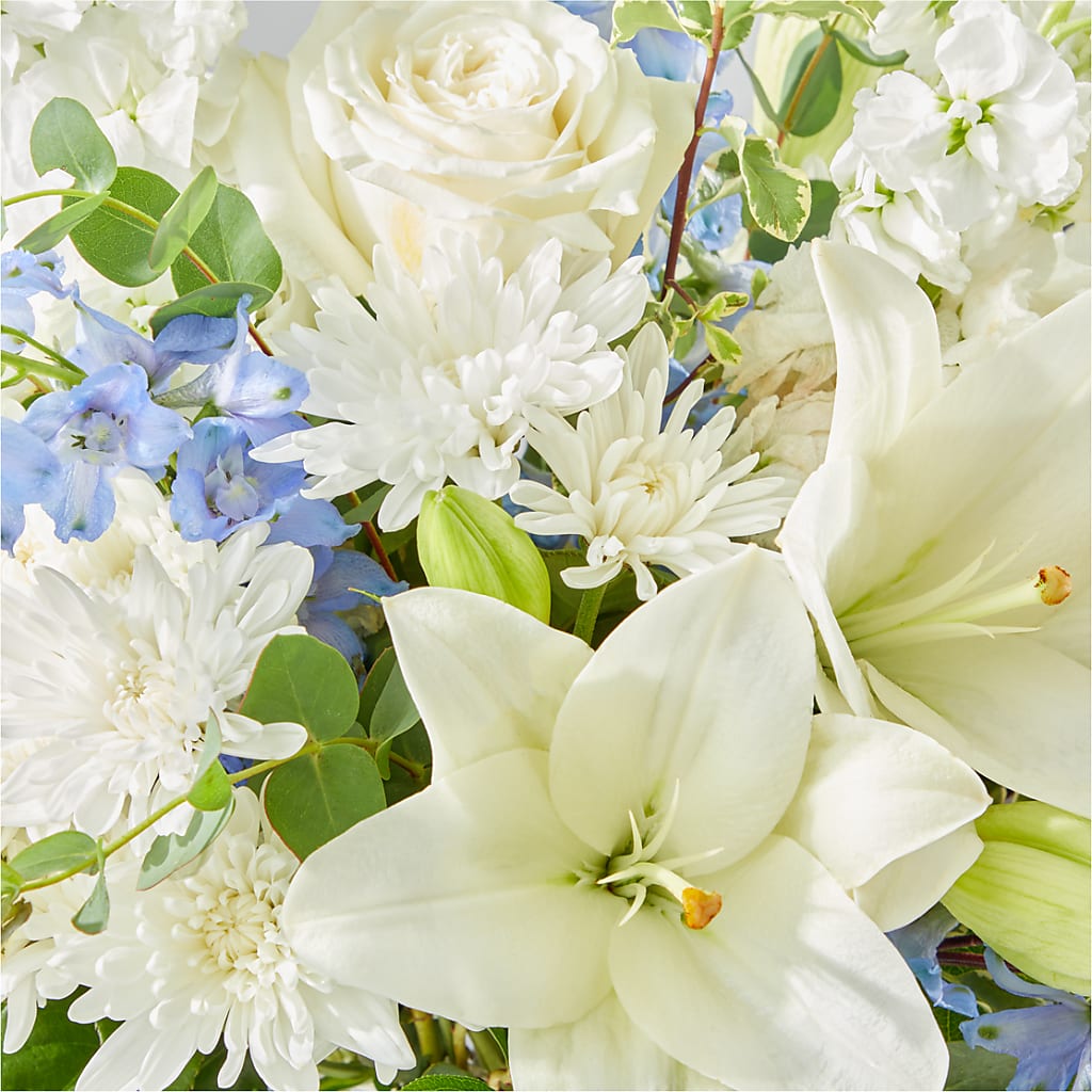 Peace of Mind Bouquet – HARRY'S FLOWERS, Victoria BC