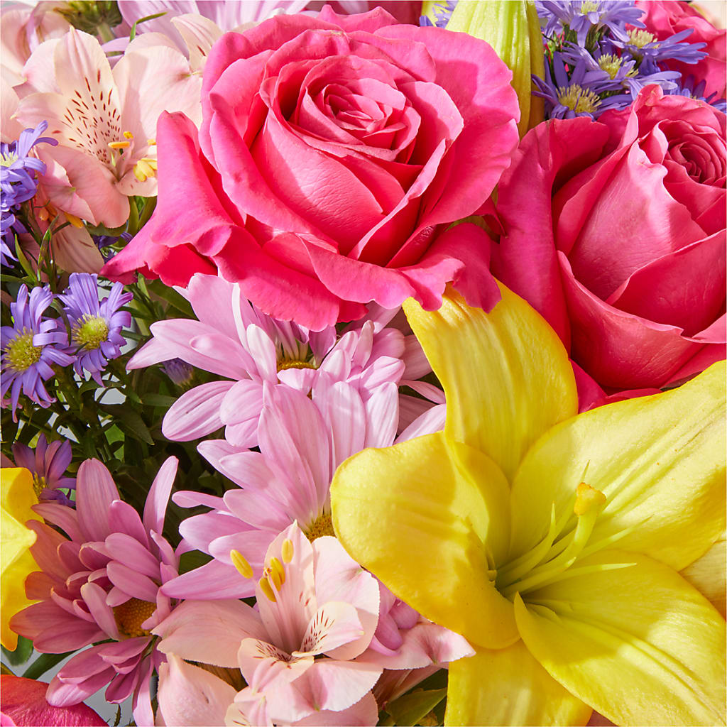 Sprinkles Bouquet – HARRY'S FLOWERS, Victoria BC