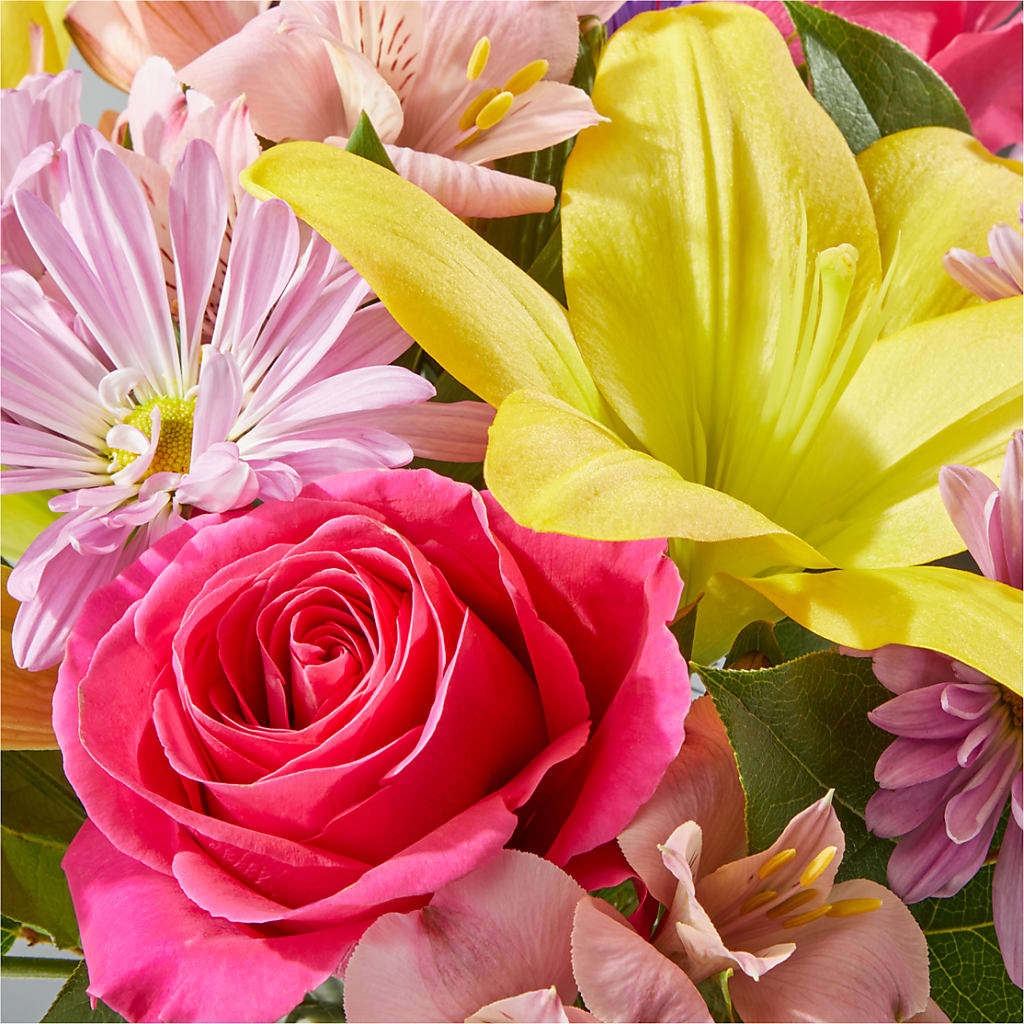 Sprinkles Bouquet – HARRY'S FLOWERS, Victoria BC
