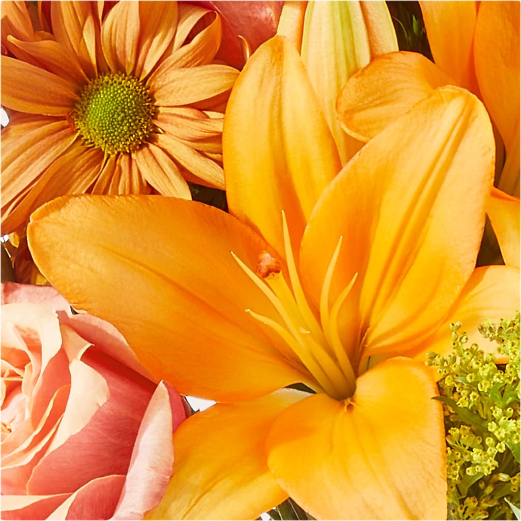 Harvest Hayride Bouquet – HARRY'S FLOWERS, Victoria BC