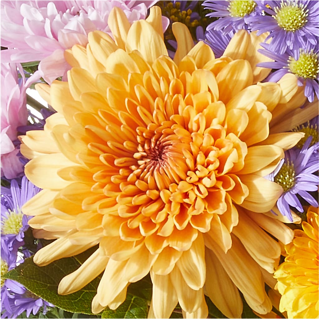 Countryside Bouquet – HARRY'S FLOWERS, Victoria BC