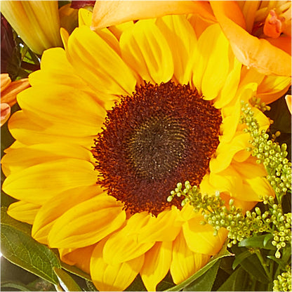 Seasons Change Bouquet – HARRY'S FLOWERS, Victoria BC